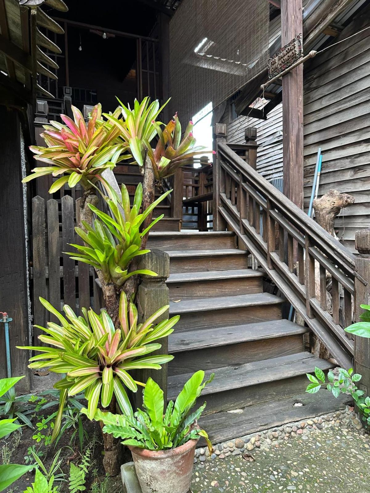 Cozy Nest Cnx Hostel Chiang Mai Exterior photo